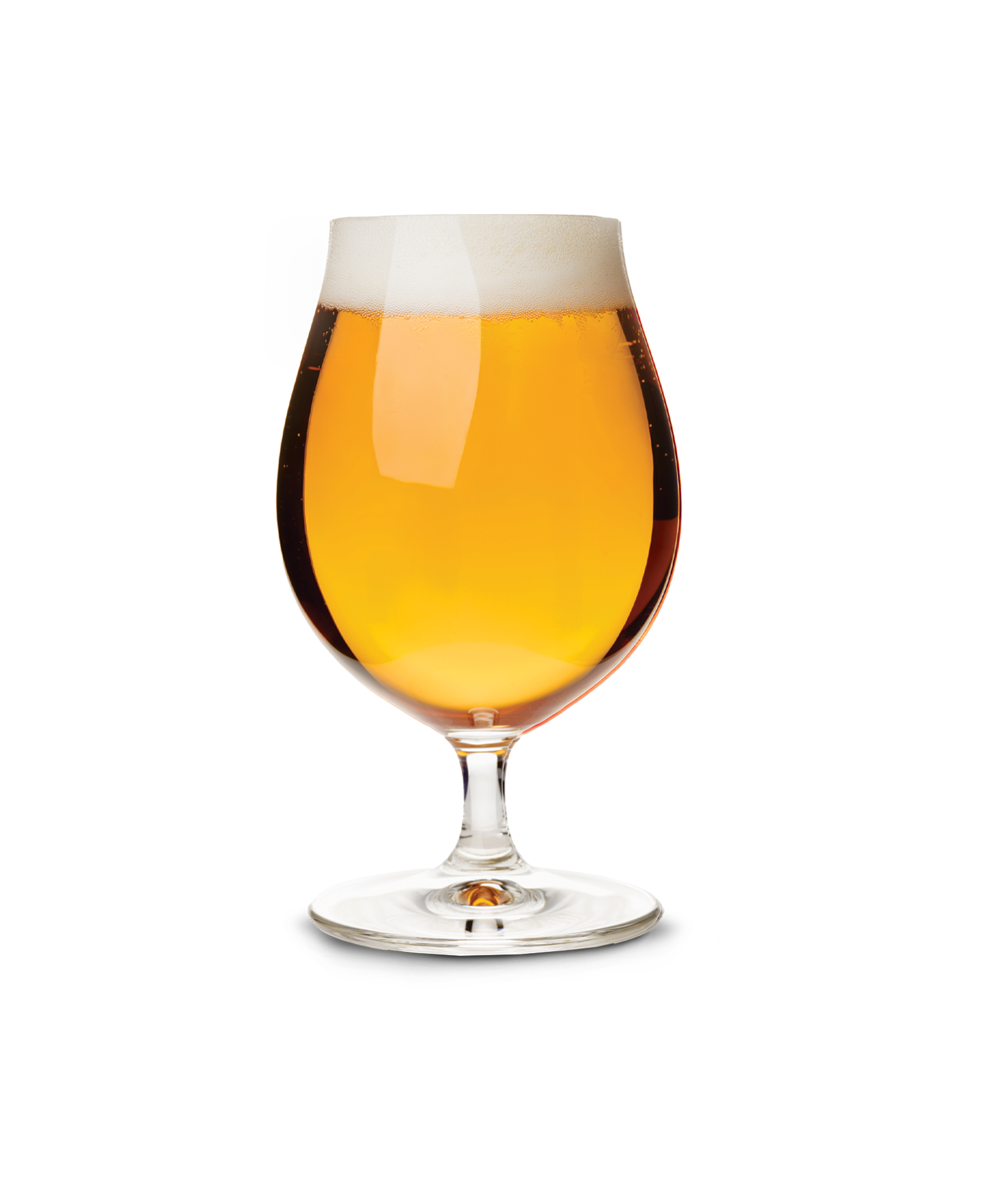 Belgian White